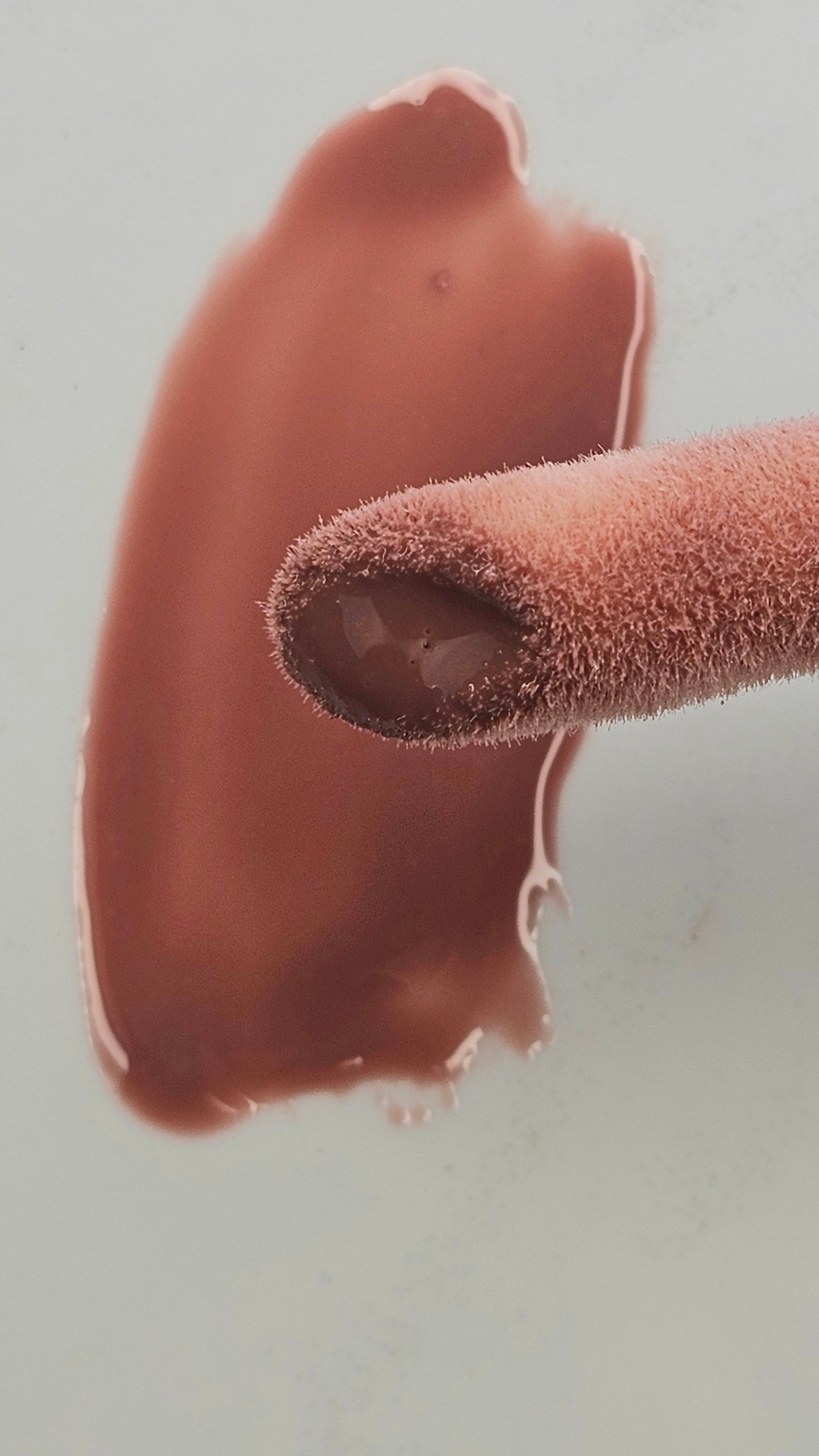 Natural Touch Lip Gloss